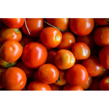 Tomato (7)-5718774-53813.webp
